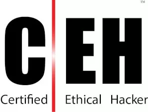 CEH 11 – Certification Ethical Hacker (312-50)